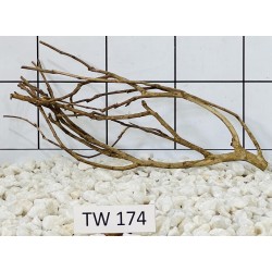 Talawawood 174