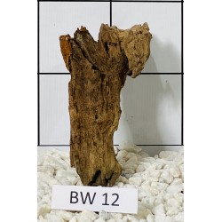 Bogwood 12