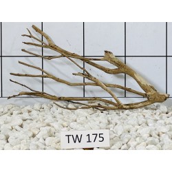 Talawawood 175