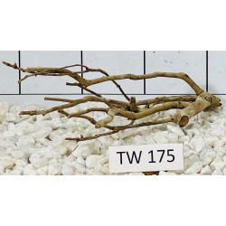 Talawawood 175