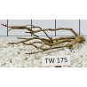 Talawawood 175