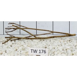 Talawawood 176
