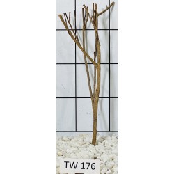 Talawawood 176