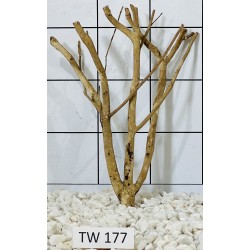 Talawawood 177
