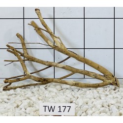Talawawood 177