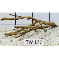 Talawawood 177