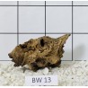 Bogwood 13