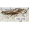 Talawawood 178