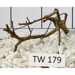 Talawawood 179
