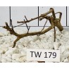Talawawood 179