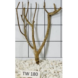 Talawawood 180