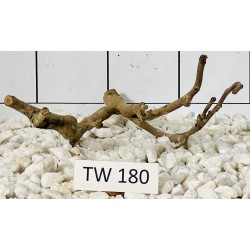Talawawood 180