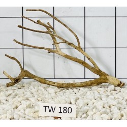 Talawawood 180