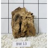 Bogwood 13