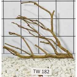 Talawawood 182
