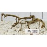 Talawawood 182