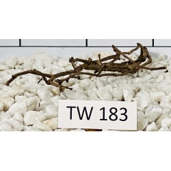 Talawawood 183