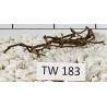 Talawawood 183