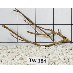 Talawawood 184