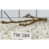 Talawawood 184