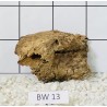 Bogwood 13