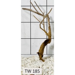 Talawawood 185