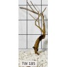 Talawawood 185