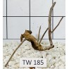 Talawawood 185
