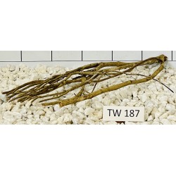 Talawawood 187