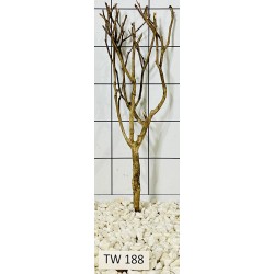 Talawawood 188