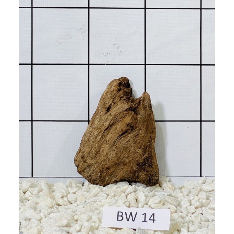 Bogwood 14