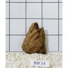 Bogwood 14