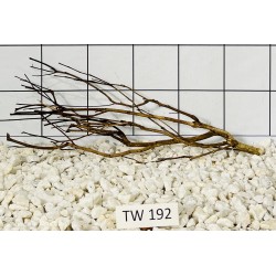 Talawawood 192