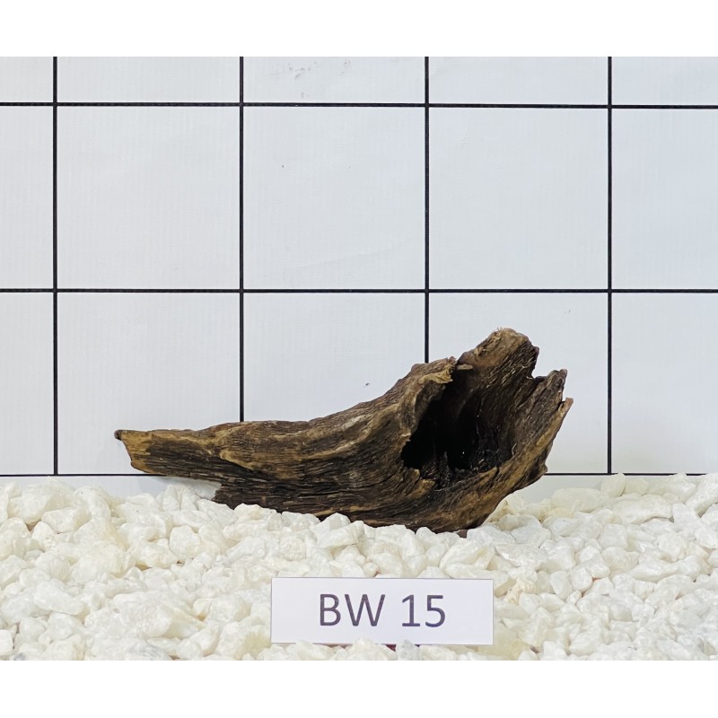 Bogwood 15
