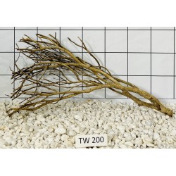 Talawawood 200