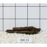 Bogwood 15