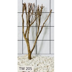 Talawawood 205
