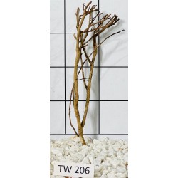 Talawawood 206