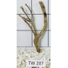 Talawawood 207