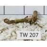 Talawawood 207