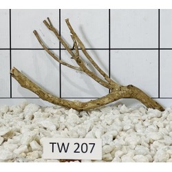 Talawawood 207