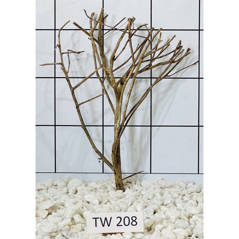 Talawawood 208