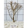 Talawawood 208