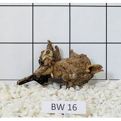 Bogwood 16