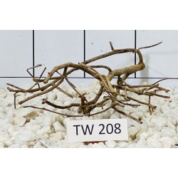 Talawawood 208