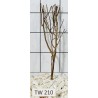 Talawawood 210