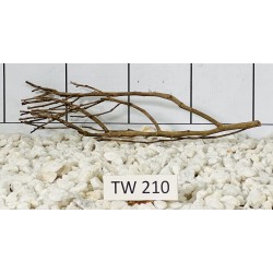 Talawawood 210