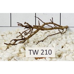 Talawawood 210