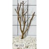 Talawawood 212