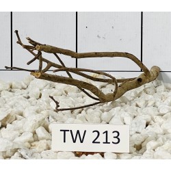 Talawawood 213